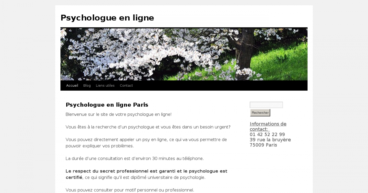 Psychologue En Ligne Paris, La Solution à Distance Pour Votre Anxiété