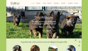 Dog Attitude : Centre des spécialistes d’élevage des chiens à Mougins