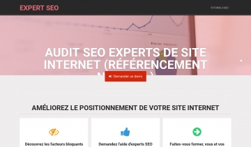 Expert SEO, votre spécialiste du référencement