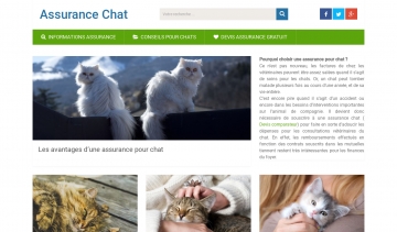 Tout savoir sur l’assurance chat et ses avantages