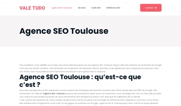 Vale Tudo, les maîtres du SEO à Toulouse 