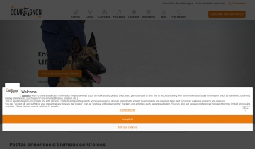 Site d’annonces d’animaux de compagnie à adopter en France