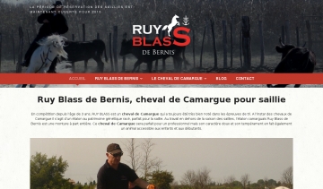 Ruy Blass