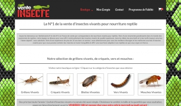 Vente insecte, boutique spécialisée en vente d'insectes vivants