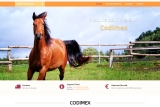 Codimex Horse, un accompagnement pour l’élevage des chevaux