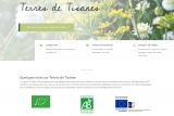 Terres de Tisanes : fournisseur de tisanes bio en ligne