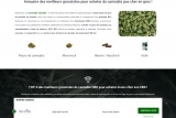  Annuaire des meilleurs grossistes pour acheter du cannabis pas cher